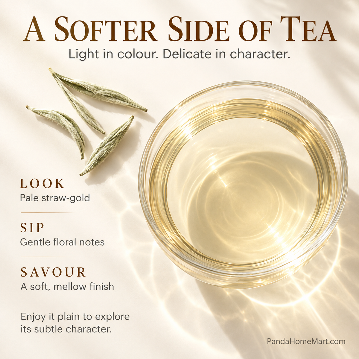 Premium Bai Hao Yin Zhen Silver Needle White Tea – Te Ji 250 g