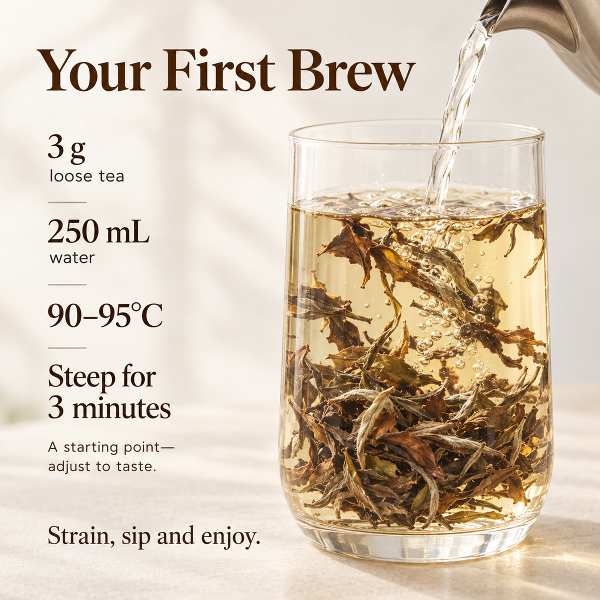 Fuding Shou Mei White Tea – 40 g