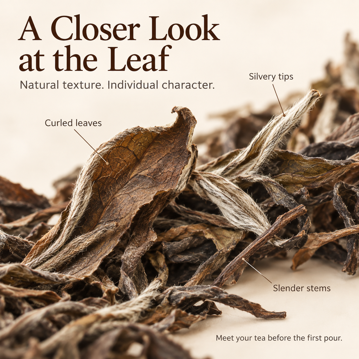 Fuding Shou Mei White Tea – 40 g