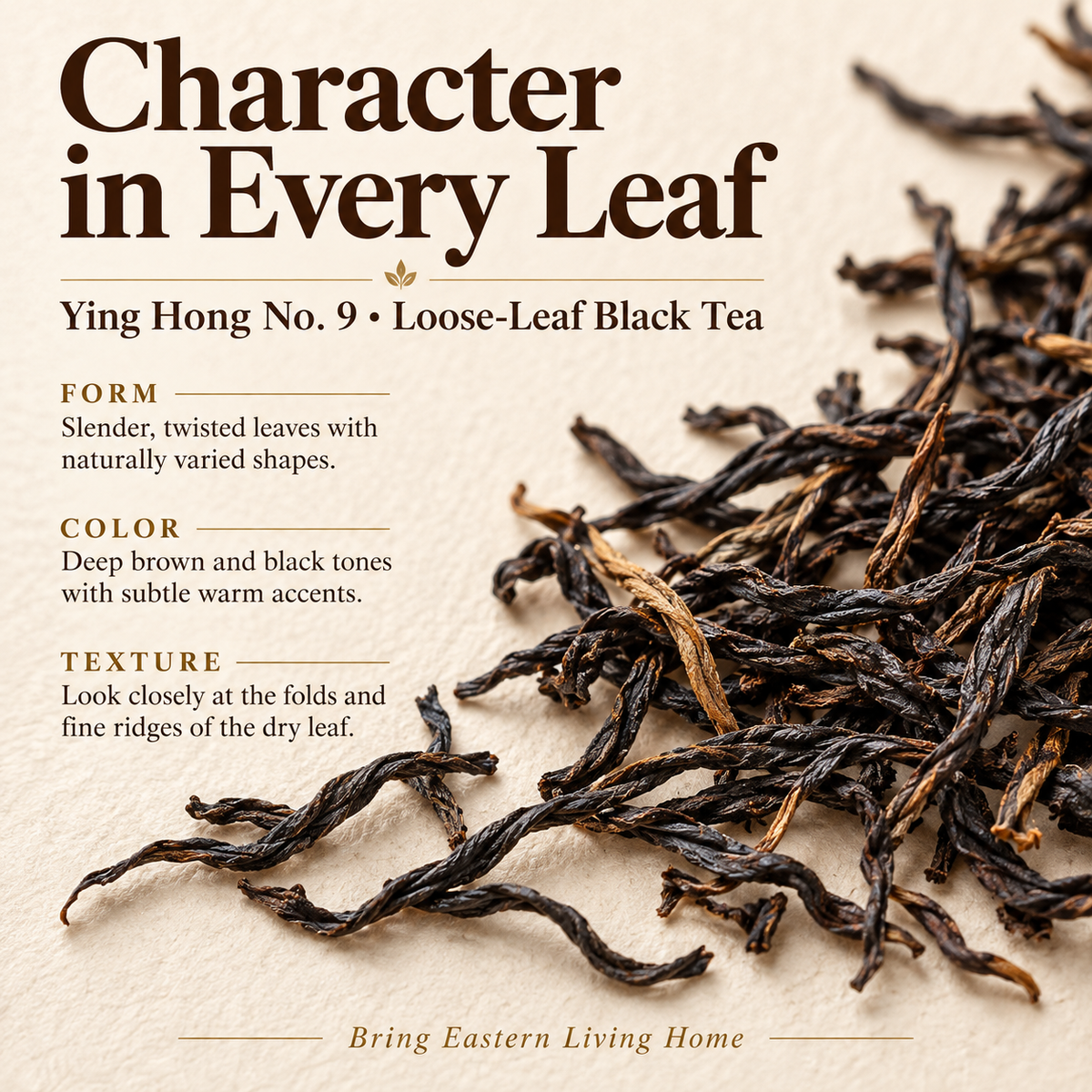 Yinghong No. 9 Black Tea – Traditional Craft 50 g