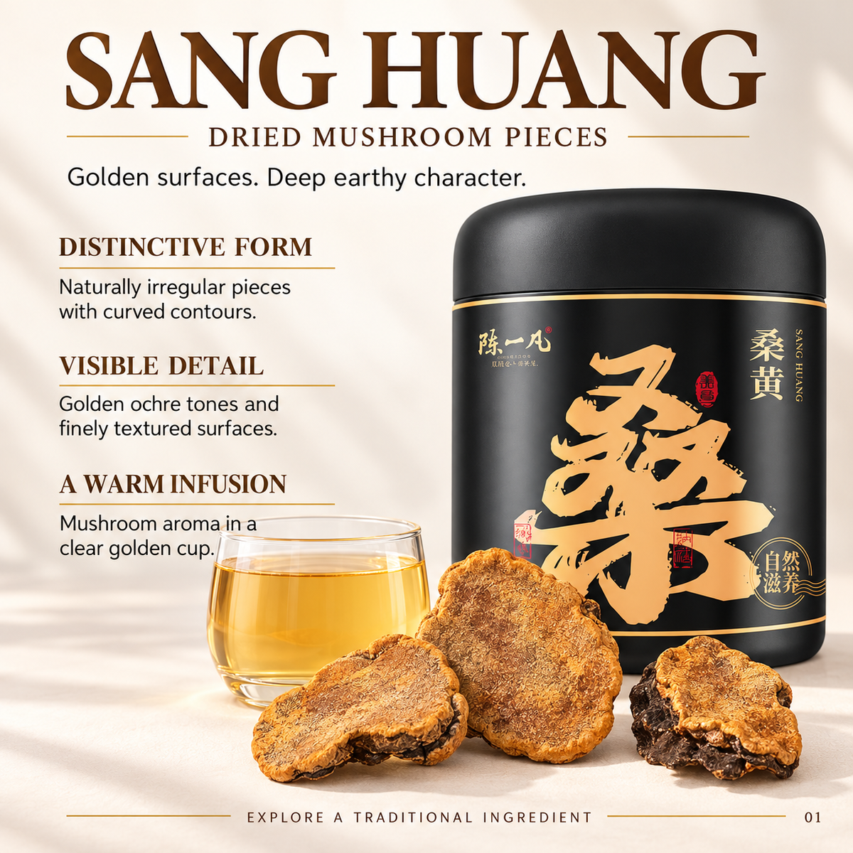 Dried Sang Huang Mushroom with Natural Golden Brown Woody Texture