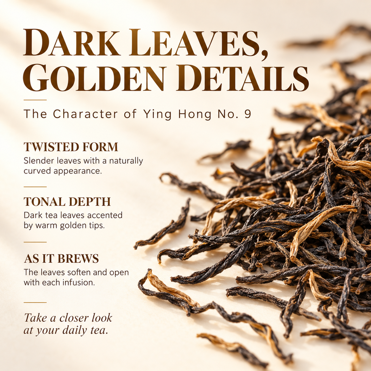 Premium Yinghong No. 9 Black Tea – Te Ji 125 g