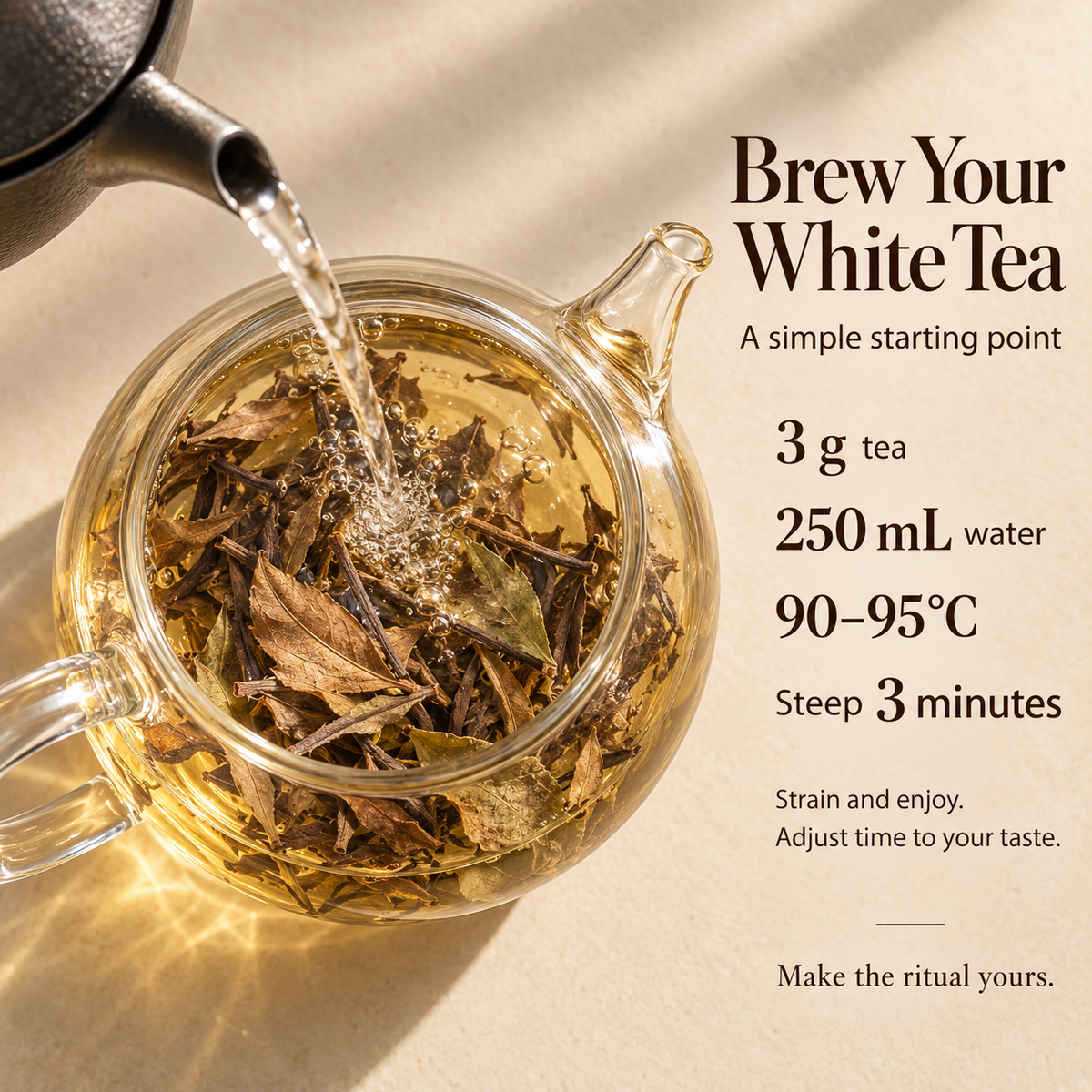 Fuding Shou Mei White Tea – Loose Leaf 250 g
