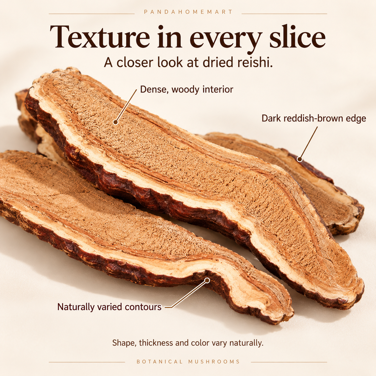 Dried Reishi Mushroom with Deep Reddish Brown Natural Surface