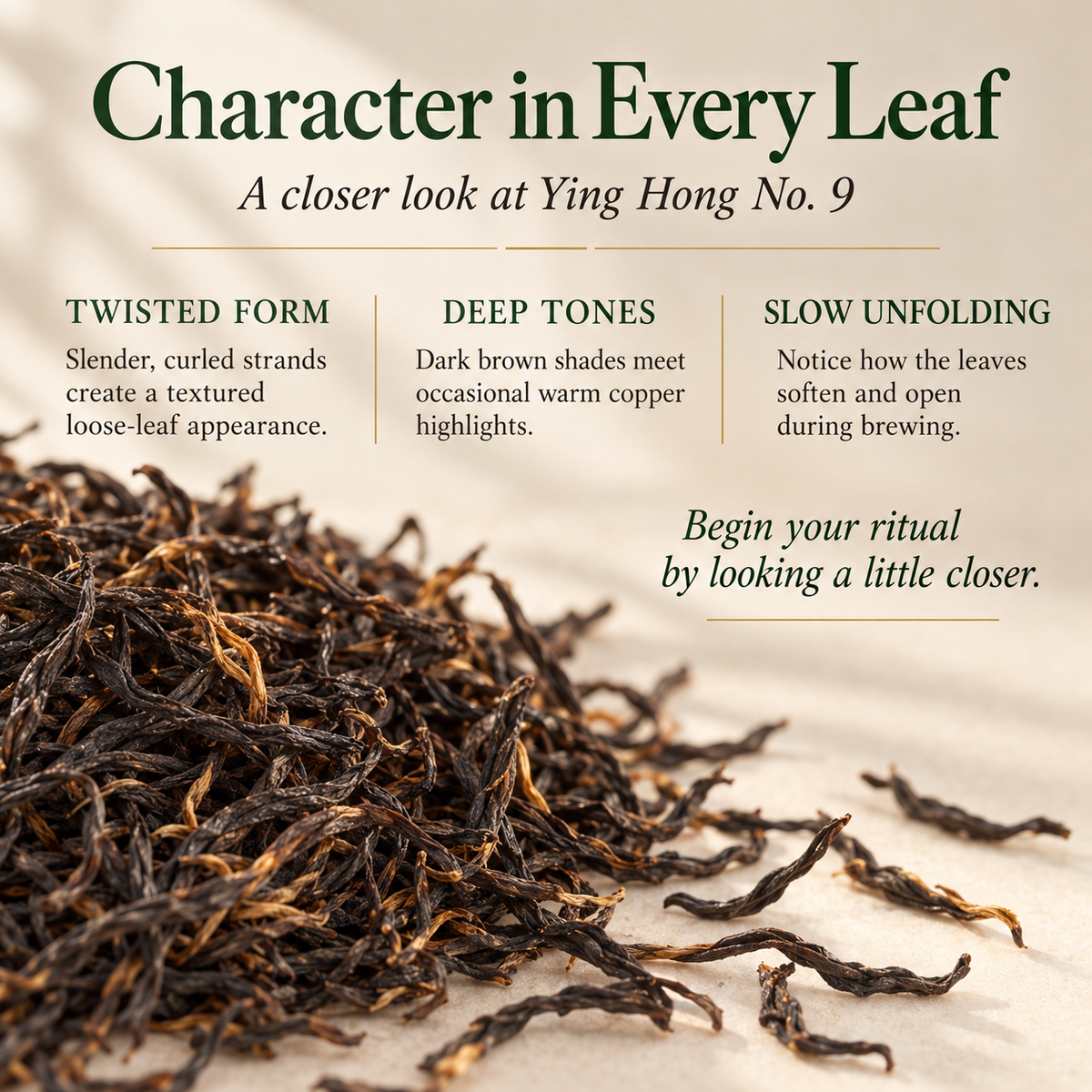 Premium Yinghong No. 9 Black Tea Gift Set – Te Ji 260 g
