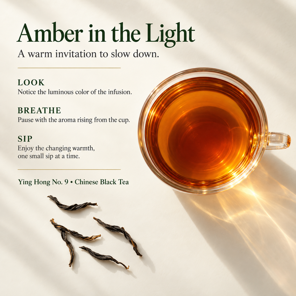 Premium Yinghong No. 9 Black Tea Gift Set – Te Ji 260 g