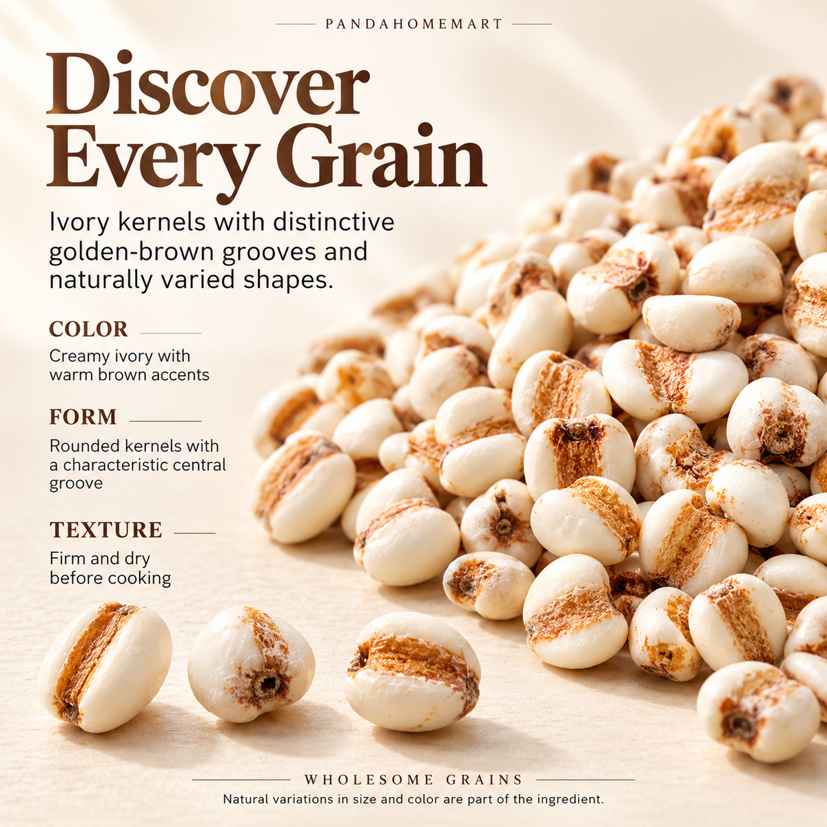 Whole Coix Seeds with Plump Ivory Kernels