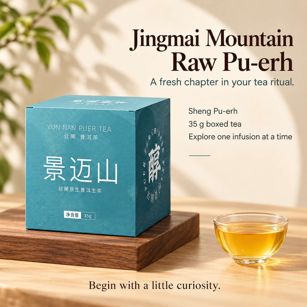 Jingmai Mountain Raw Pu-erh Tea – 35 g