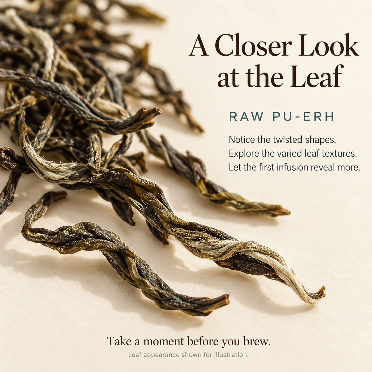 Jingmai Mountain Raw Pu-erh Tea – 35 g