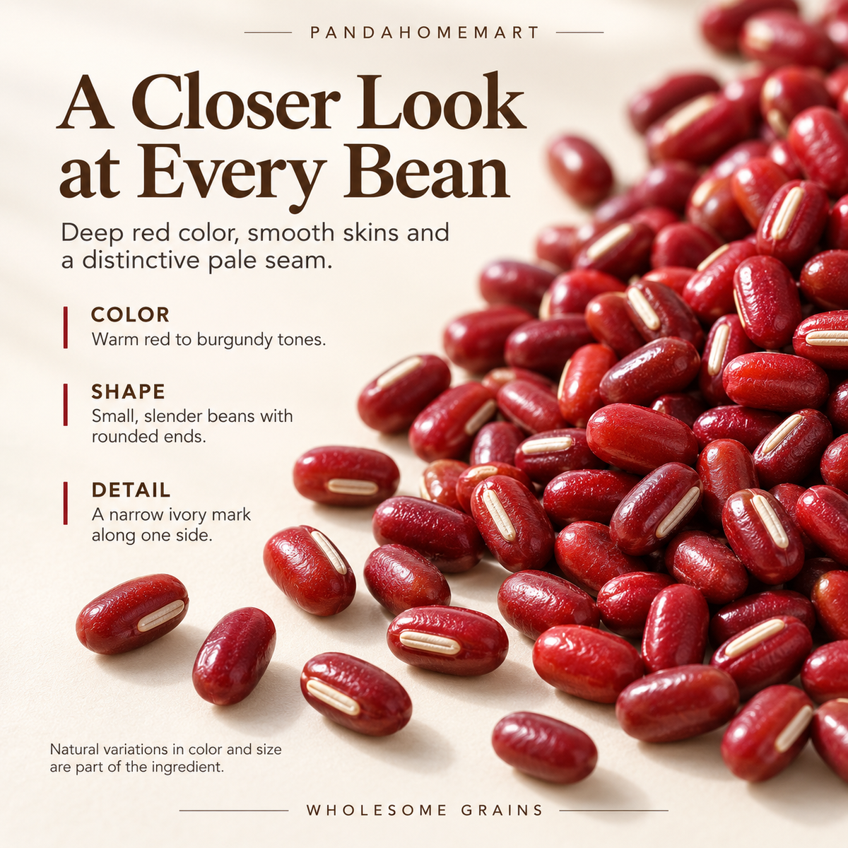 Whole Chi Xiao Dou with Distinctive Deep Red Skins