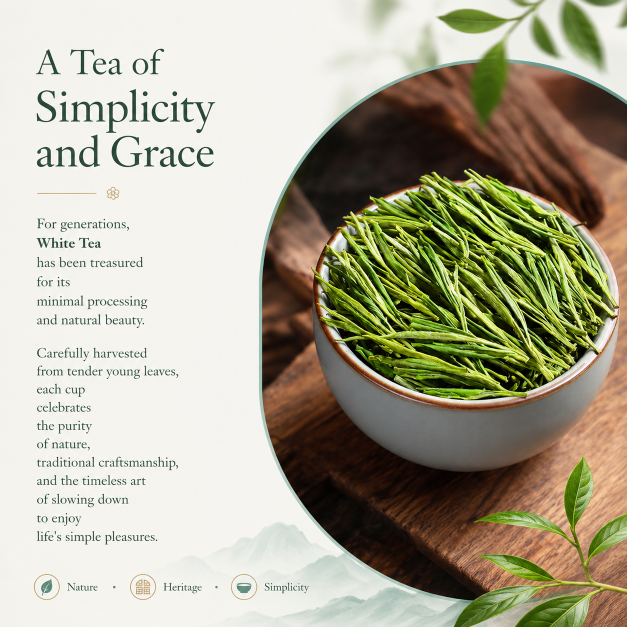 Premium White Tea