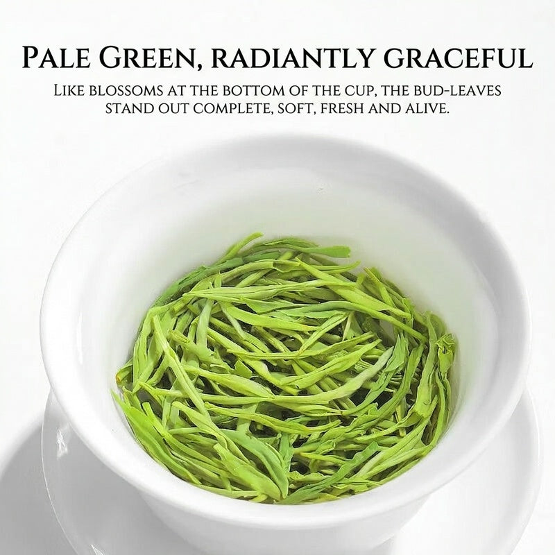 Premium Maojian Green Tea – Authentic Chinese Loose Leaf Green Tea for Natural Energy, Wellness & Mindful Tea Rituals