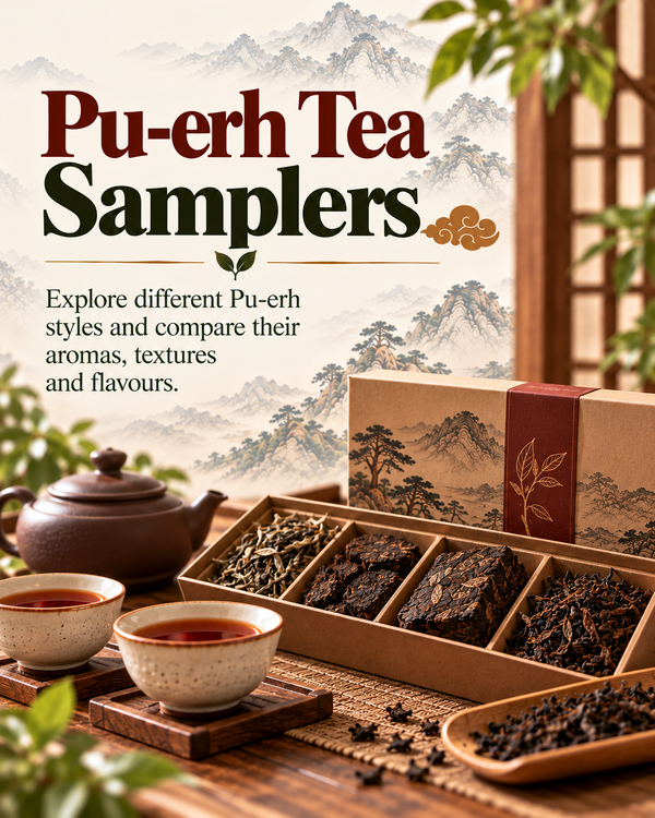 Pu-erh Tea Samplers
