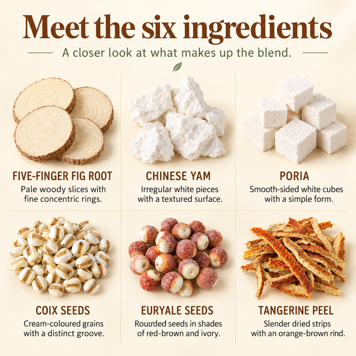 Five-Finger Peach & Poria Botanical Blend™ — 220 g