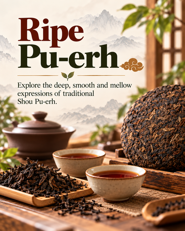 Ripe Pu-erh