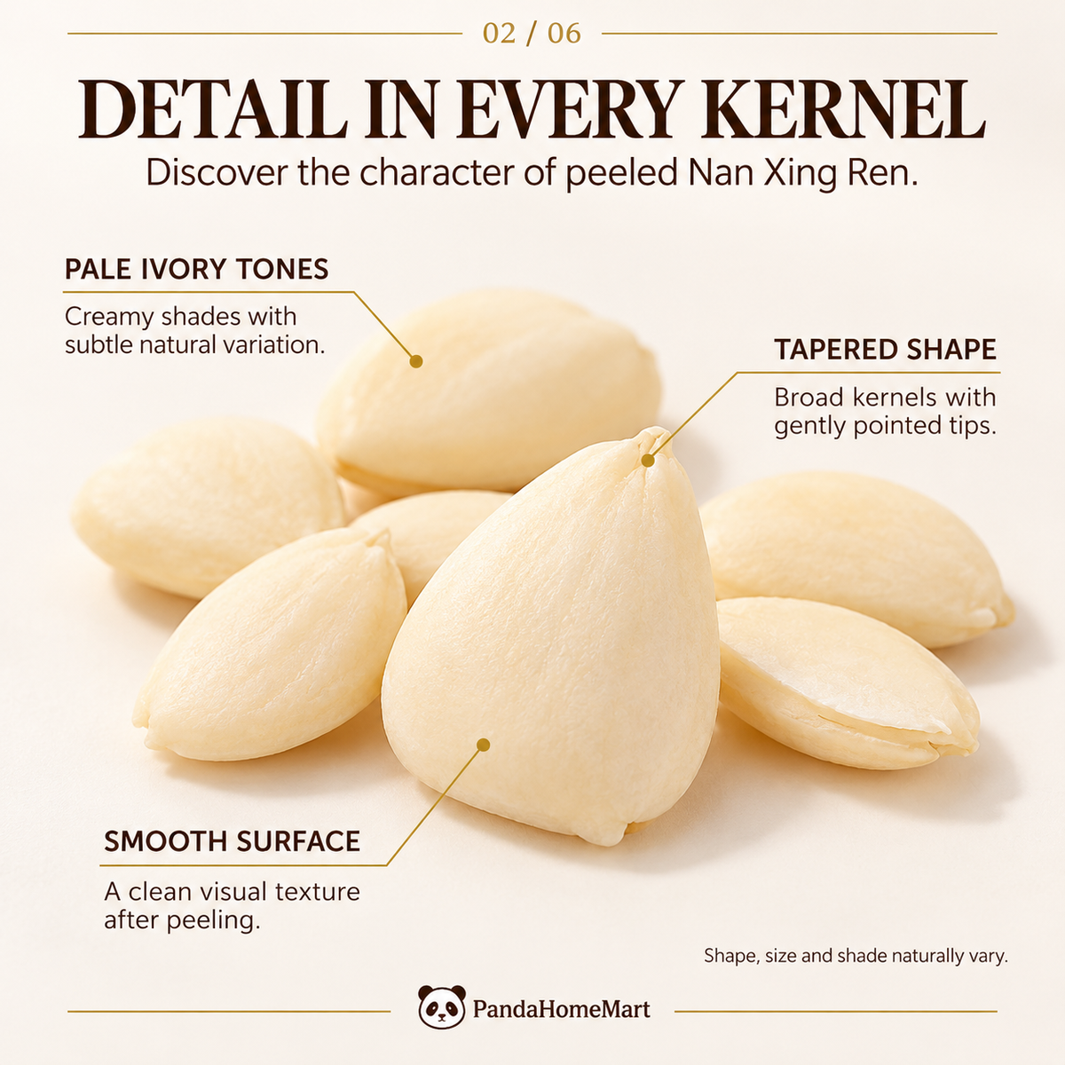Peeled Sweet Apricot Kernels with Pale Ivory Appearance