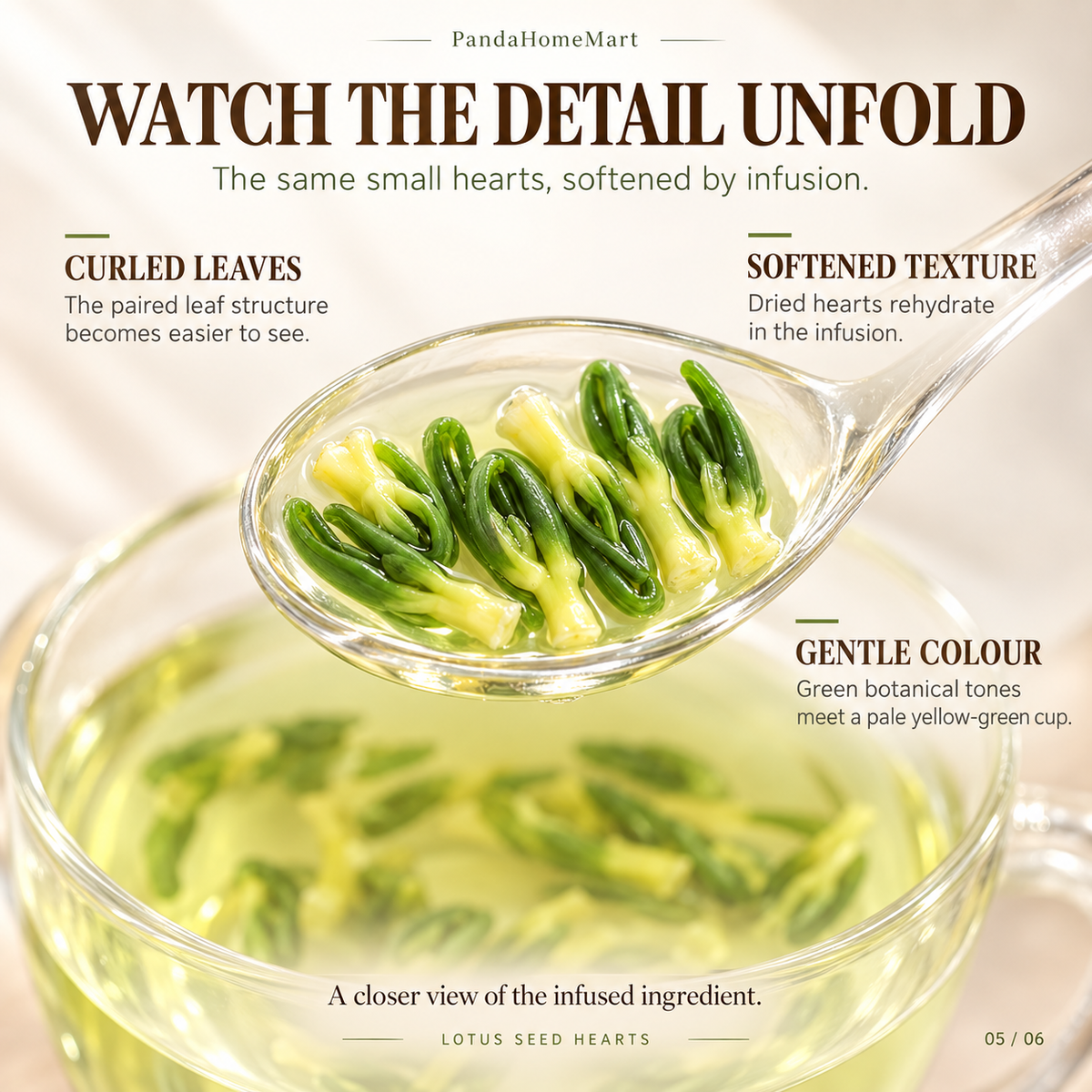 Lotus Seed Hearts for Traditional Botanical Infusions