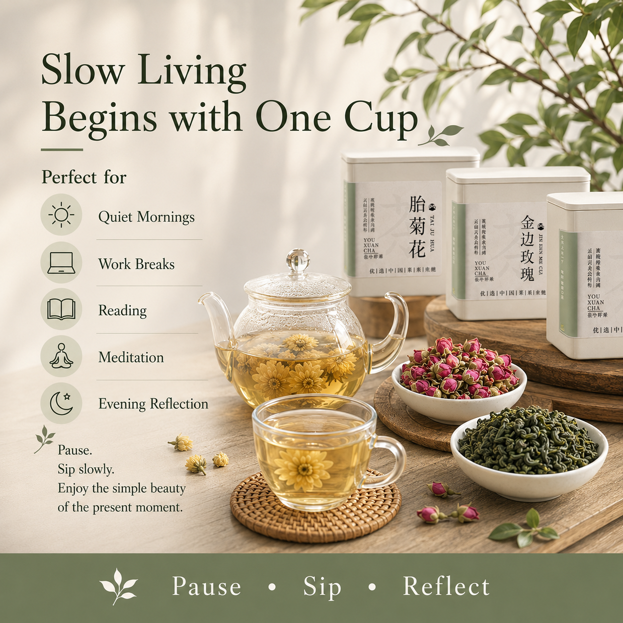 Premium Chinese Botanical Wellness Collection