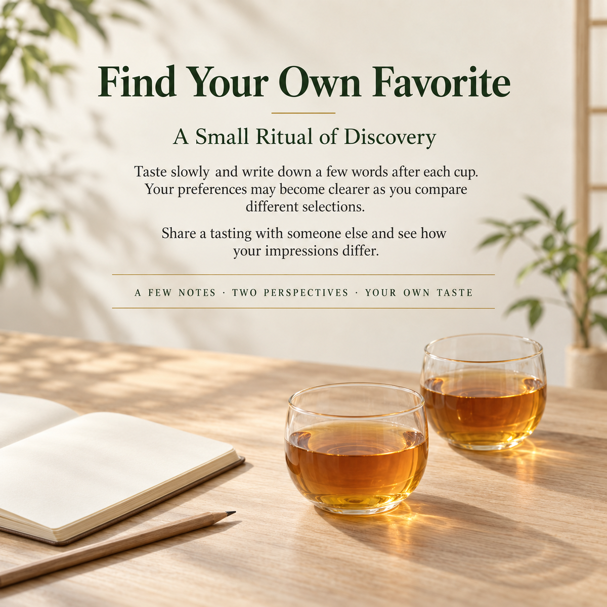 Yunnan Dian Hong Black Tea Tasting Set – 12 Varieties, 48 g