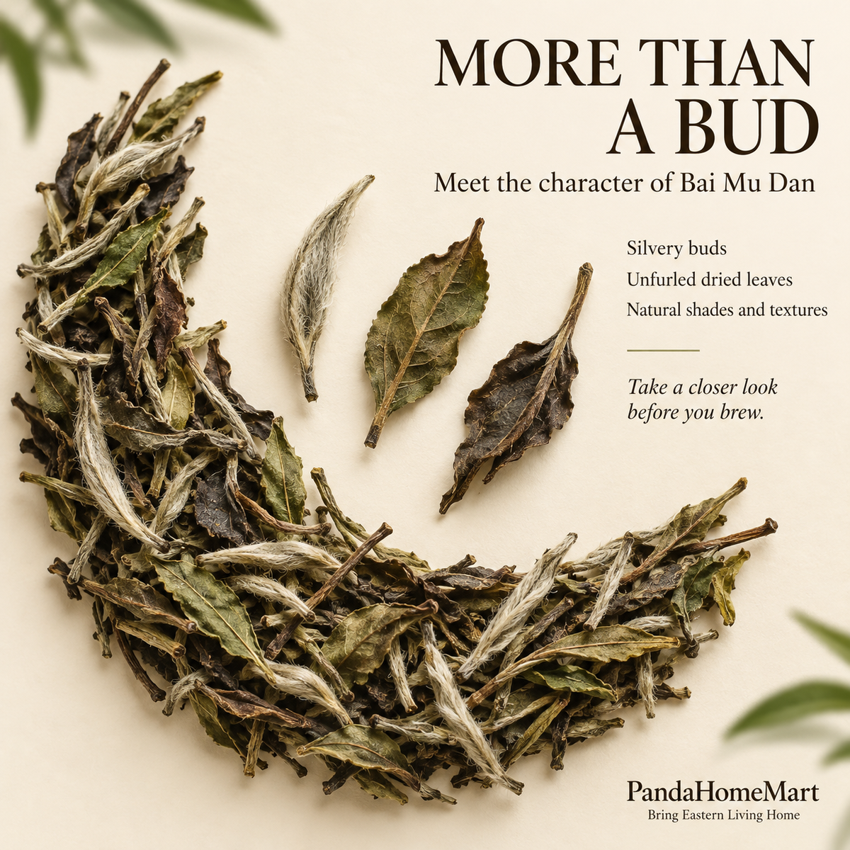 Premium Bai Mu Dan White Peony White Tea – Te Ji 100 g