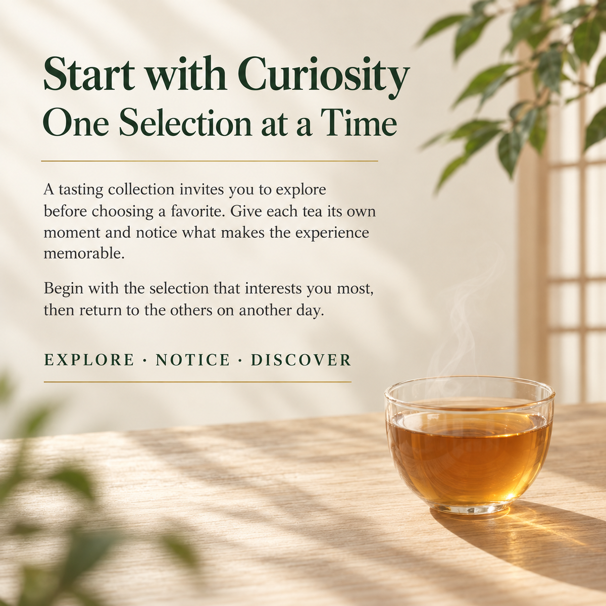 Yunnan Dian Hong Black Tea Tasting Set – 12 Varieties, 48 g
