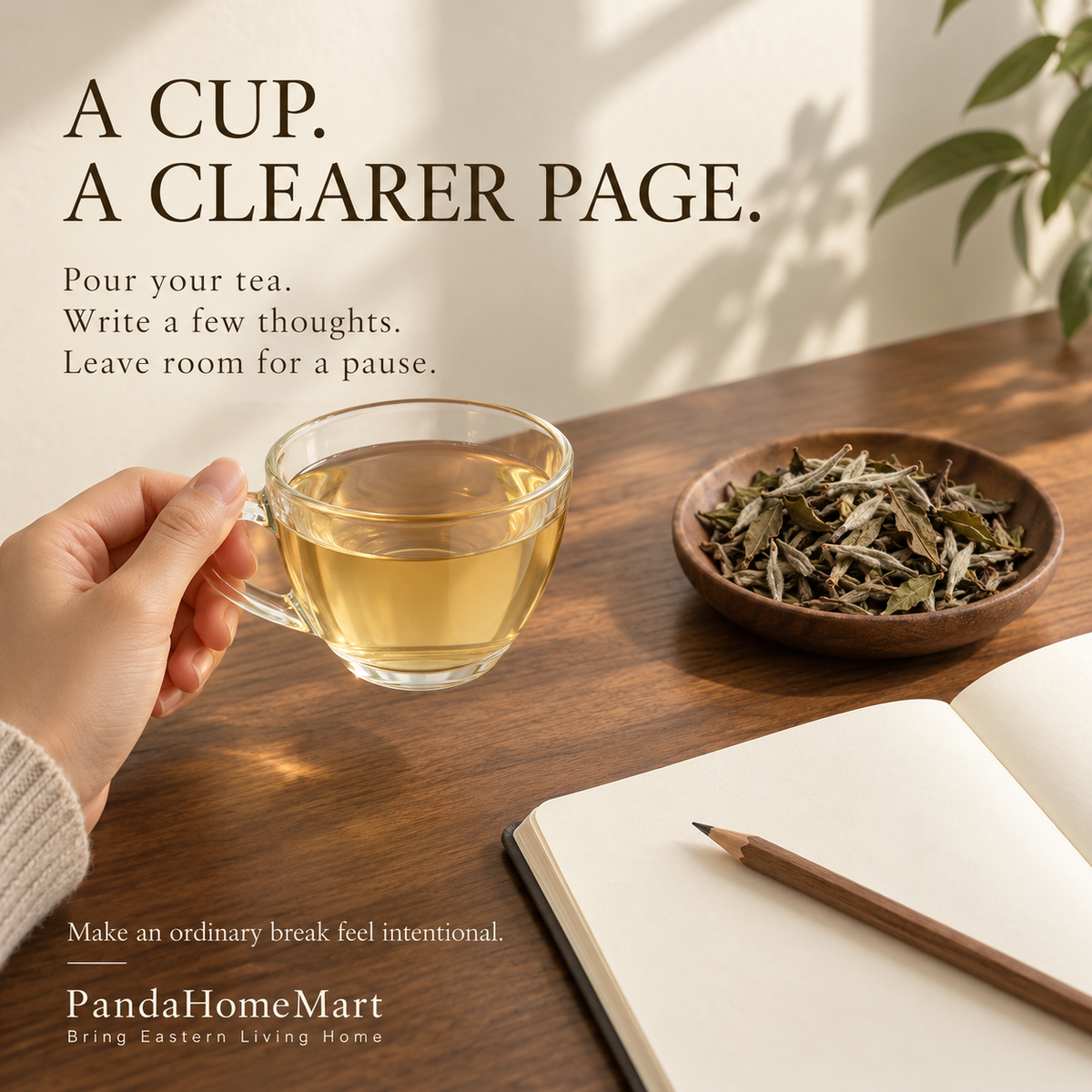 Premium Bai Mu Dan White Peony White Tea – Te Ji 100 g