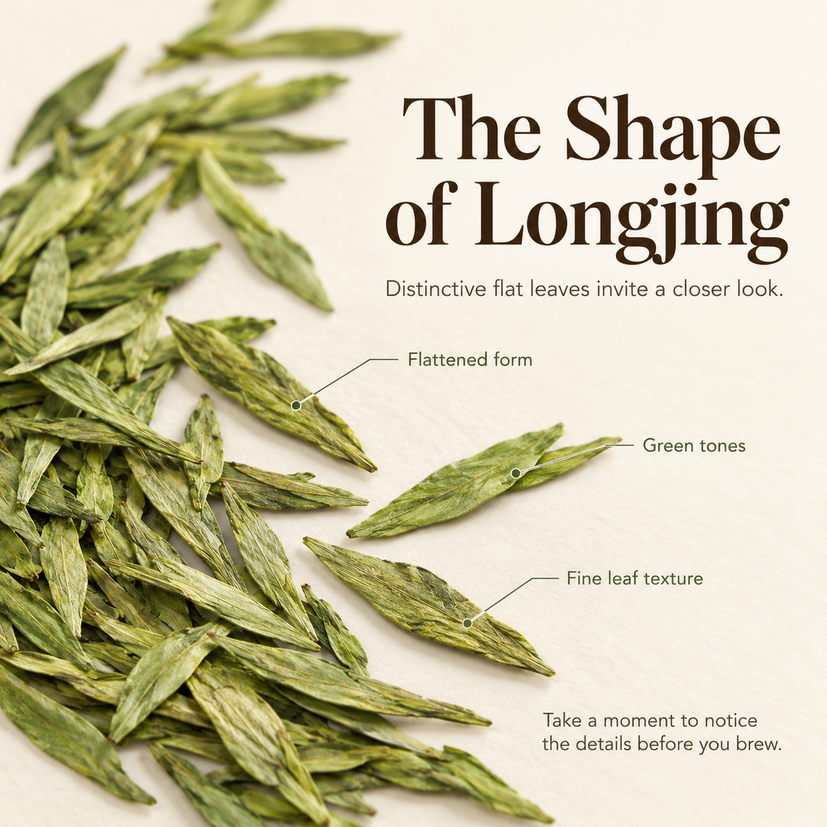 Premium Grade Longjing (Dragon Well) Green Tea™ – 100g