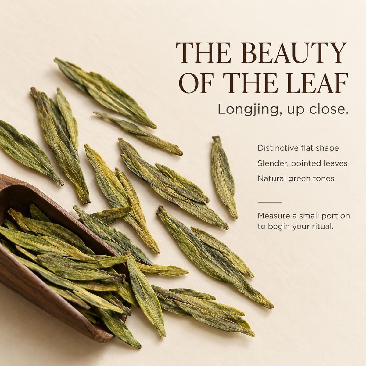 Premium Longjing (Dragon Well) Green Tea™ Family Pack – 250g