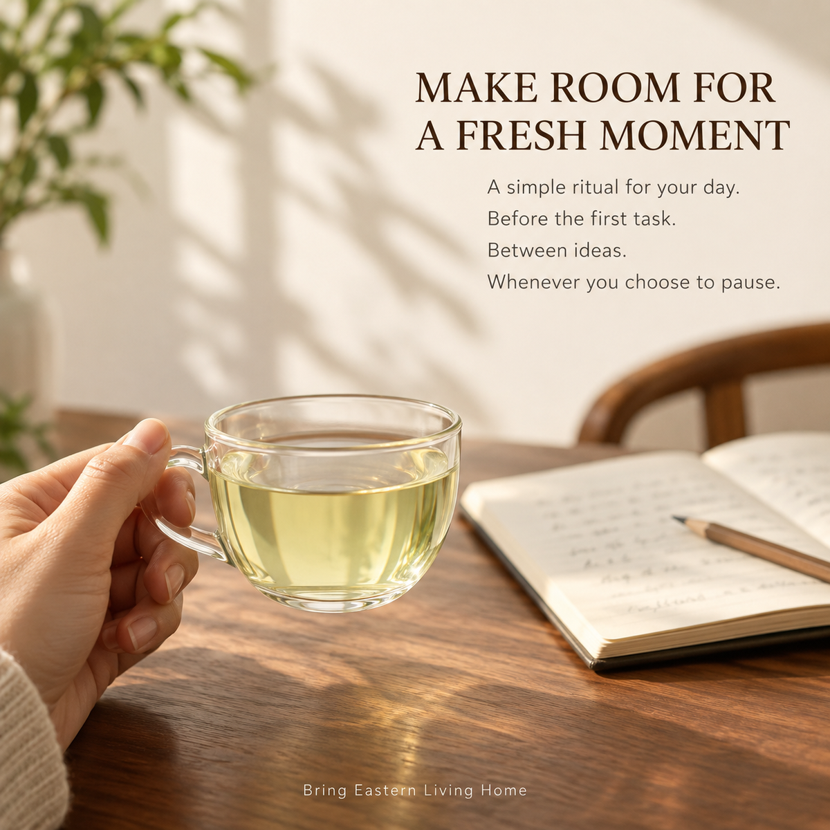 Premium Longjing (Dragon Well) Green Tea™ Family Pack – 250g