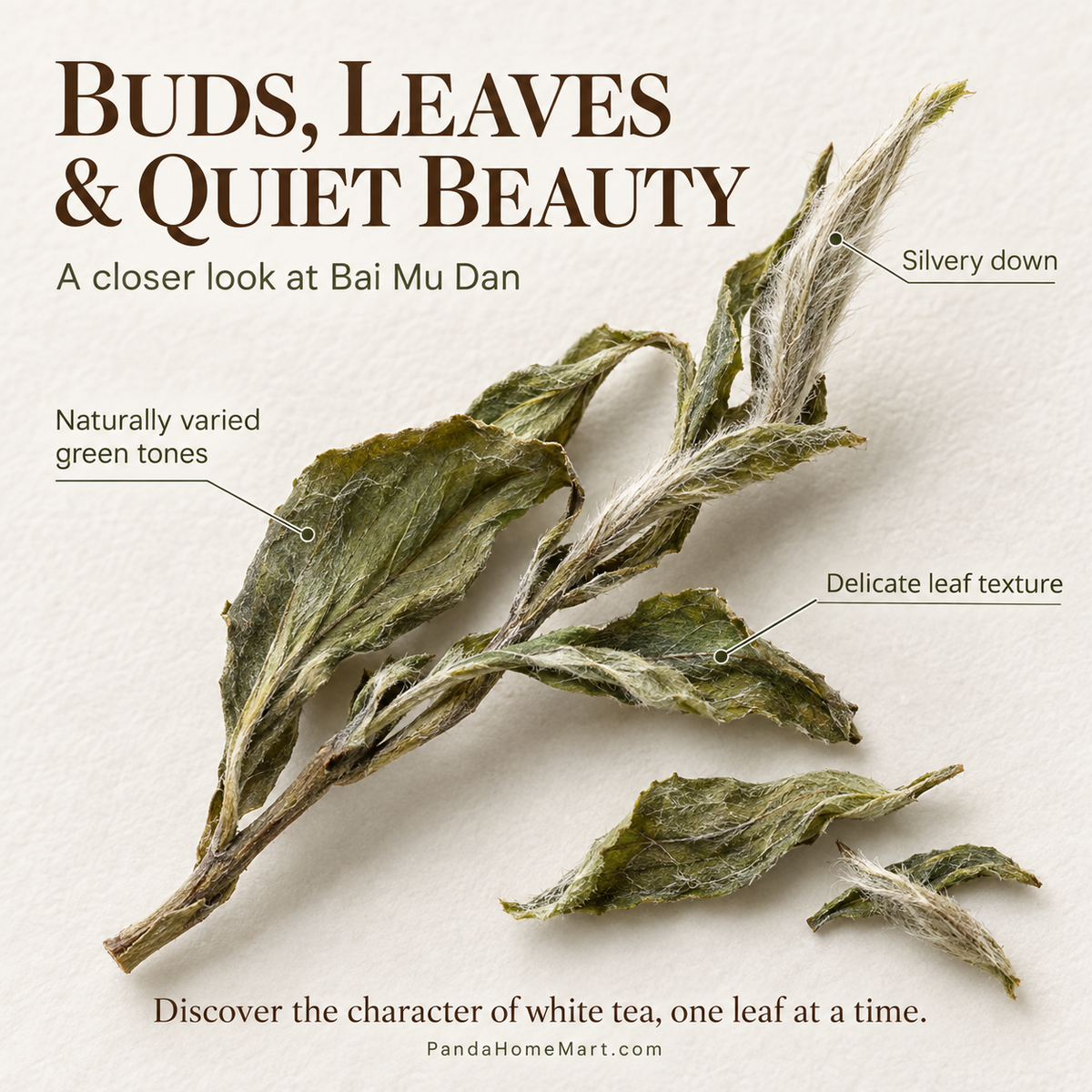 Premium Bai Mu Dan White Peony White Tea – Te Ji 40 g