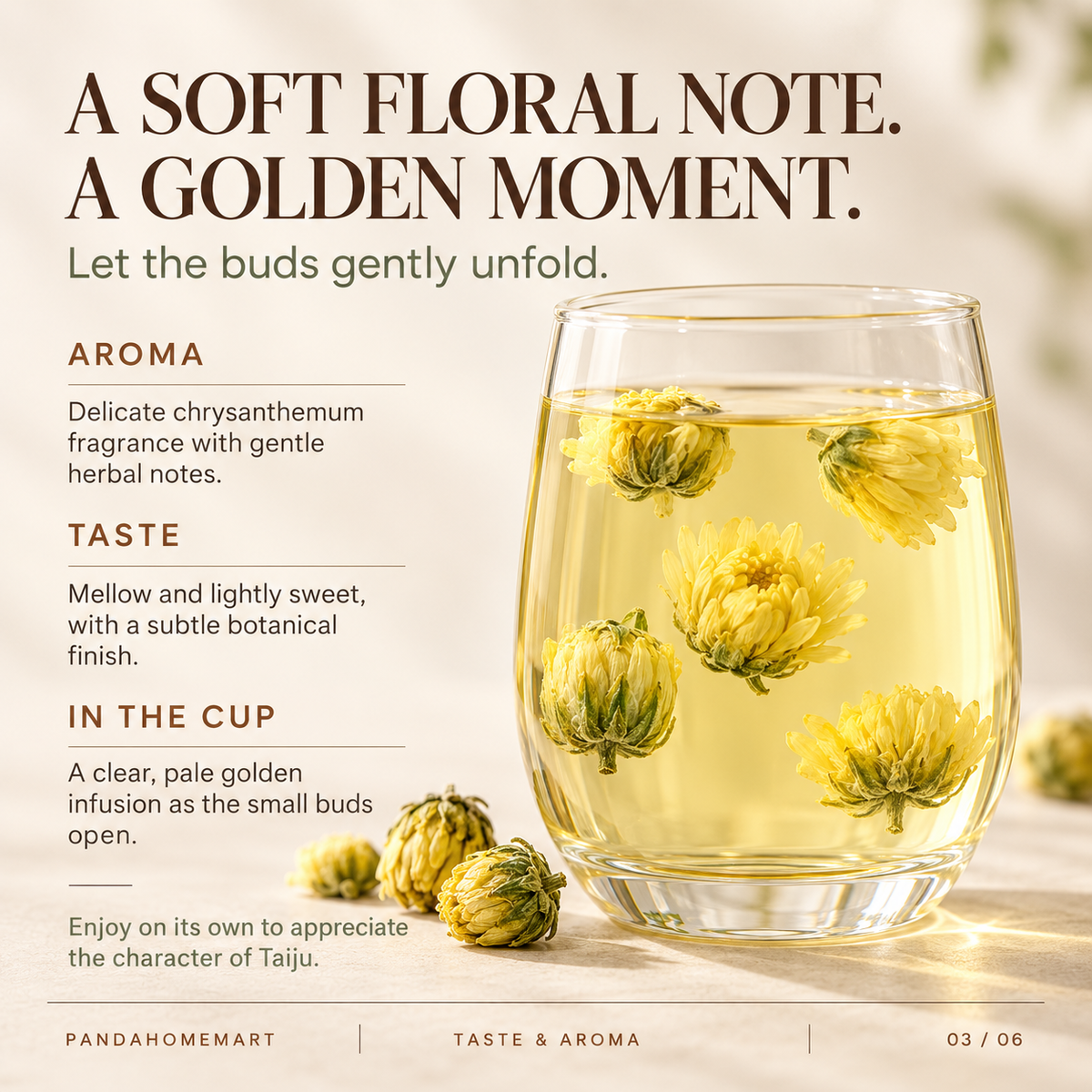 Whole Chrysanthemum Buds for Floral Tea and Botanical Pairings