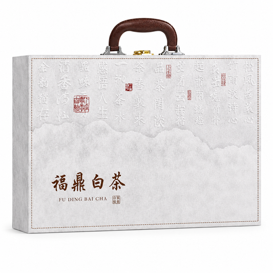 Fuding Aged Shou Mei White Tea 600 g two-cake gift set