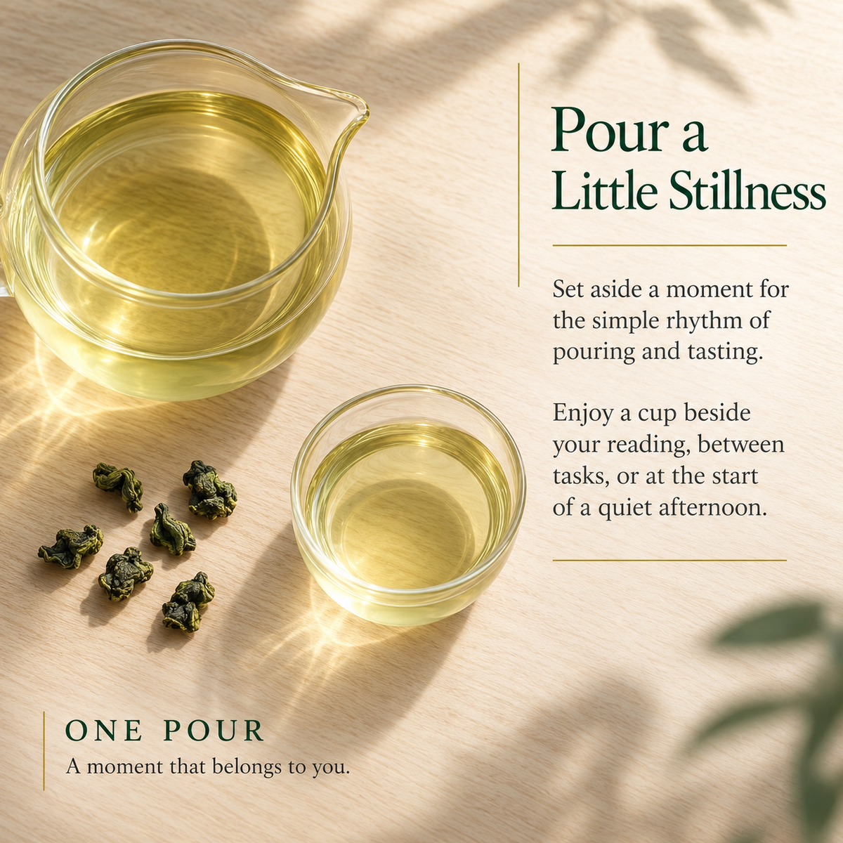 Premium Anxi Tie Guan Yin Oolong Tea – Te Ji 200 g