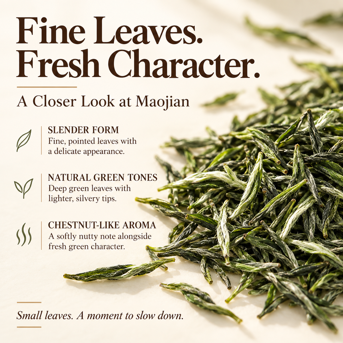 Premium First Flush Pre-Qingming Xinyang Maojian Green Tea Gift Set™ – 150g
