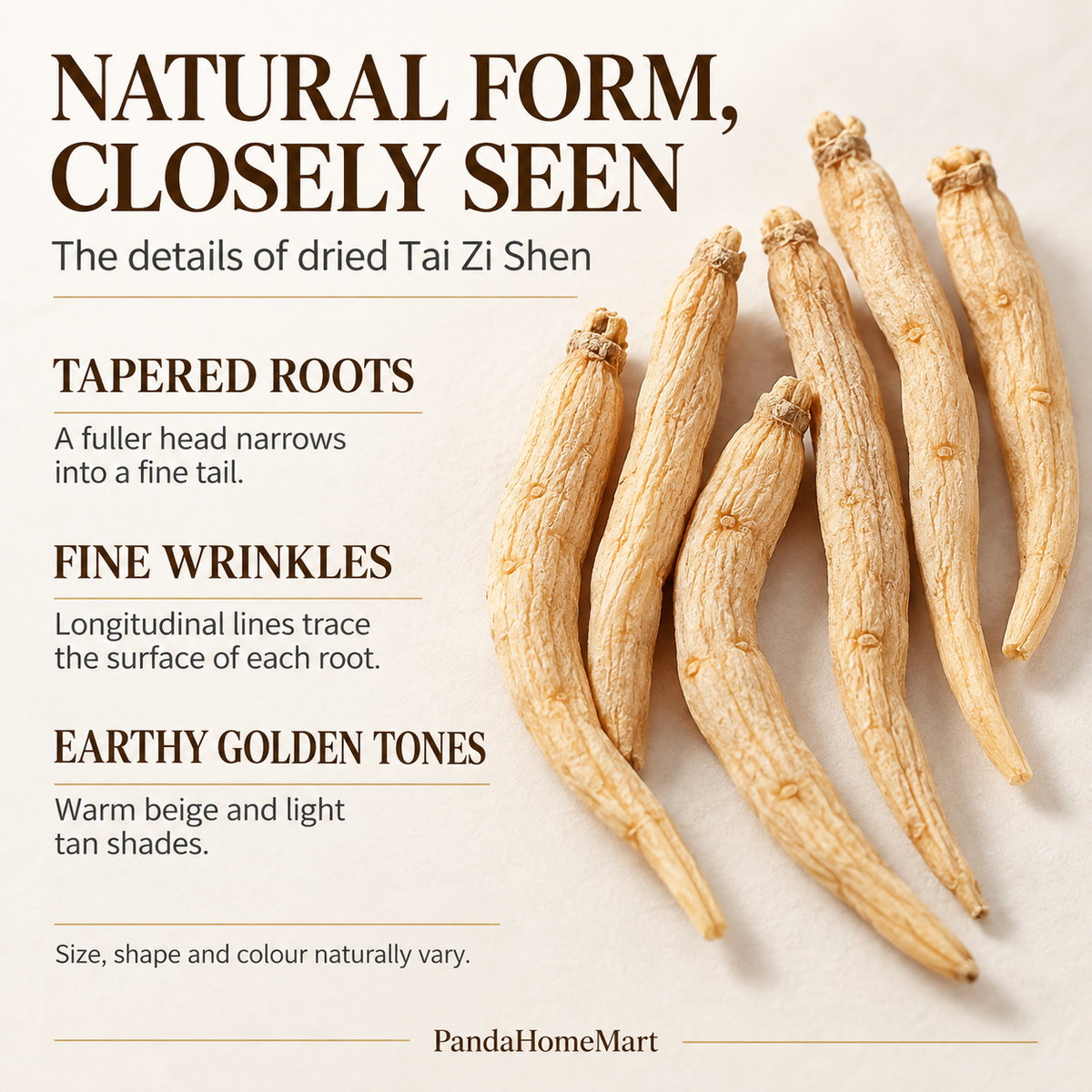 Dried Tai Zi Shen Root with Pale Natural Appearance