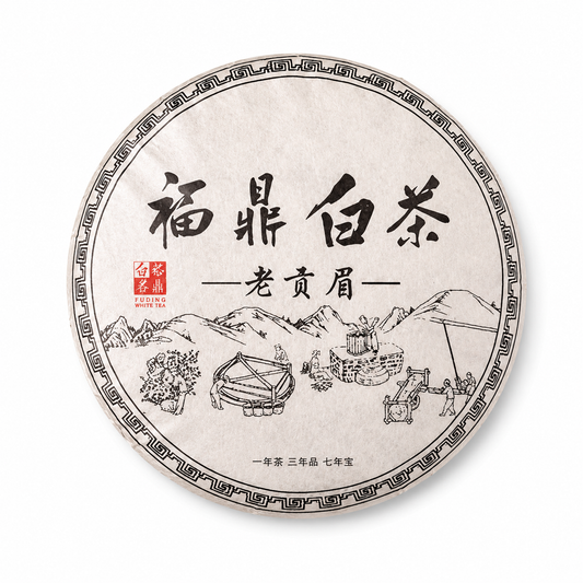 2013 Aged Gong Mei Fuding White Tea Cake traditional compressed Chinese aged white tea