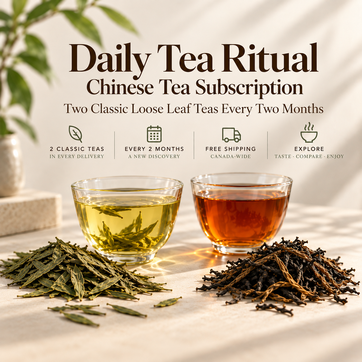 PandaHomeMart Daily Tea Ritual Chinese Tea Subscription with Two Classic Loose Leaf Teas Every Two Months